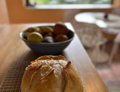 Screenshot 2026-03-02 at 10.20.17 AM 2