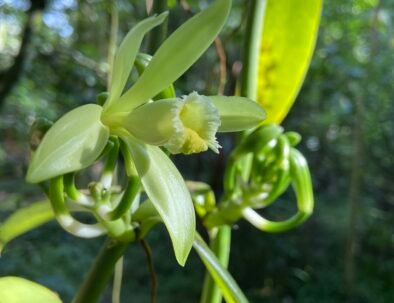 Photo Jul 04 2022, 8 01 01 AM