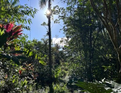 Photo Jan 26 2026, 8 46 36 AM