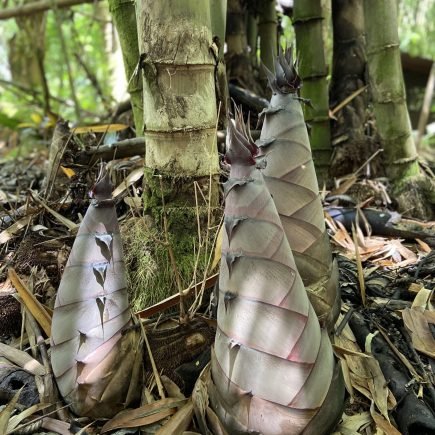 Photo Jul 24 2022, 11 59 49 AM