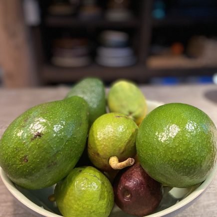 Photo Jul 26 2023, 6 54 41 PM