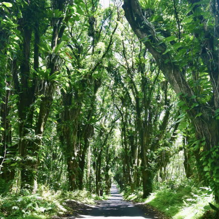 Screenshot 2026-01-08 at 9.30.05 AM