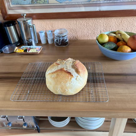 Screenshot 2026-03-02 at 10.21.23 AM 2